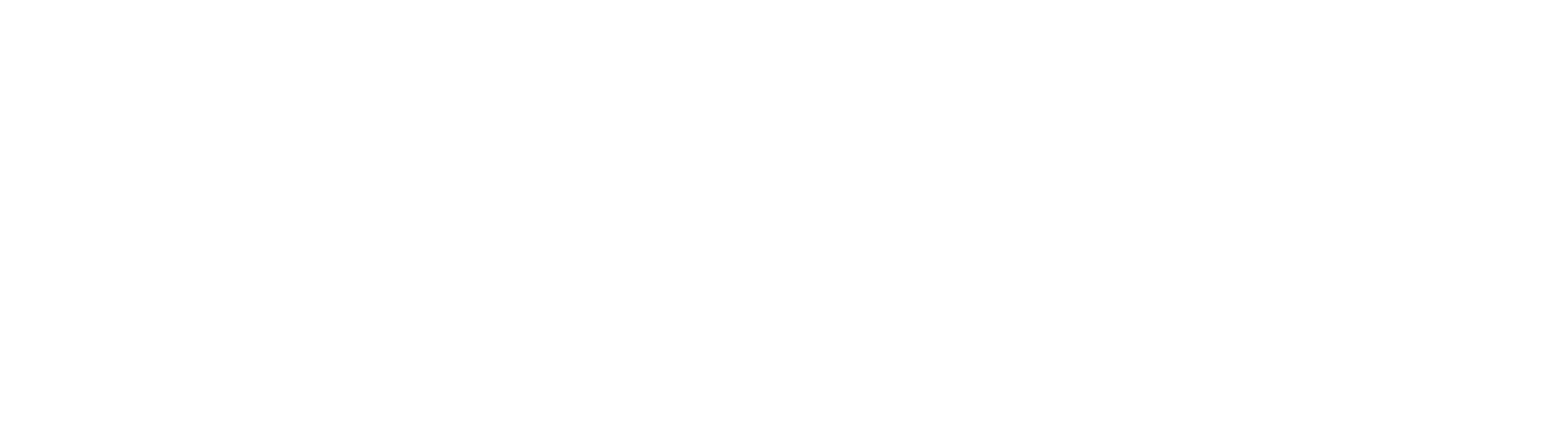 RoverPowerBank-Logo-white
